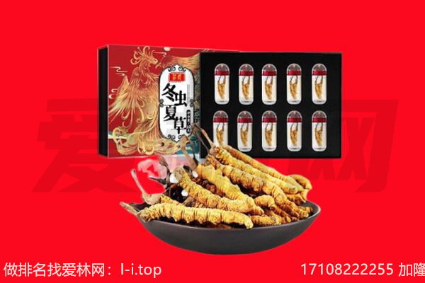 泉州回收虫草.jpg